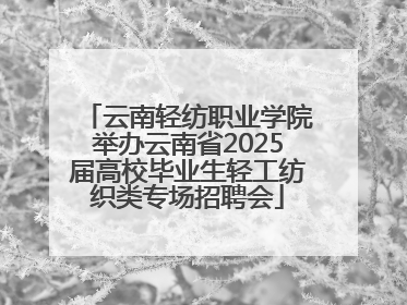 云南轻纺职业学院举办云南省2025届高校毕业生轻工纺织类专场招聘会
