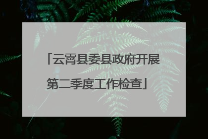 云霄县委县政府开展第二季度工作检查