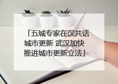 五城专家在汉共话城市更新 武汉加快推进城市更新立法