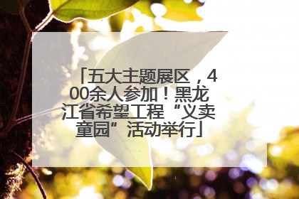 五大主题展区，400余人参加！黑龙江省希望工程“义卖童园”活动举行
