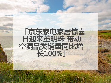 京东家电家居惊喜日迎来董明珠 带动空调品类销量同比增长100%