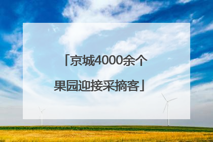 京城4000余个果园迎接采摘客