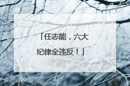 任志能，六大纪律全违反！