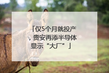 仅5个月就投产，贵安再添半导体显示“大厂”
