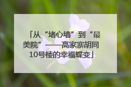 从“堵心墙”到“最美院”——高家寨胡同10号楼的幸福蝶变