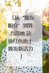 从“陇东粮仓”到算力高地 这块红色热土焕发新活力