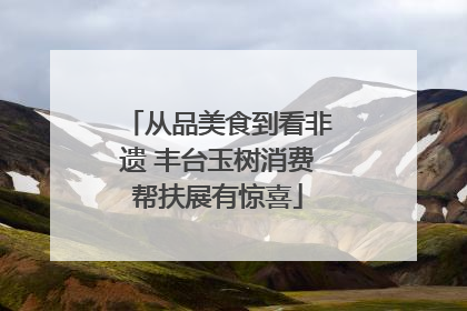 从品美食到看非遗 丰台玉树消费帮扶展有惊喜