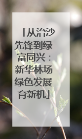 从治沙先锋到绿富同兴：新华林场绿色发展育新机