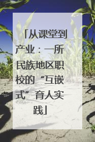 从课堂到产业：一所民族地区职校的“互嵌式”育人实践