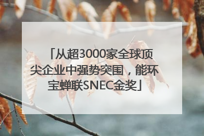 从超3000家全球顶尖企业中强势突围，能环宝蝉联SNEC金奖
