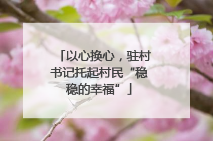 以心换心，驻村书记托起村民“稳稳的幸福”
