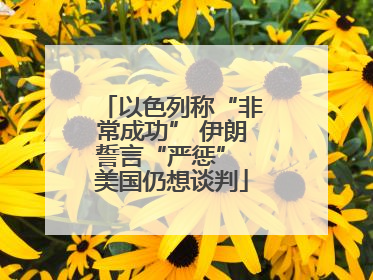 以色列称“非常成功” 伊朗誓言“严惩” 美国仍想谈判