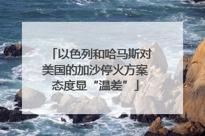 以色列和哈马斯对美国的加沙停火方案态度显“温差”