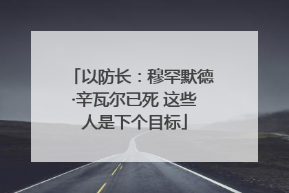 以防长：穆罕默德·辛瓦尔已死 这些人是下个目标