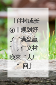 伴村成长④丨规划好了“满盘赢”，仁义村唤来“大厂”回