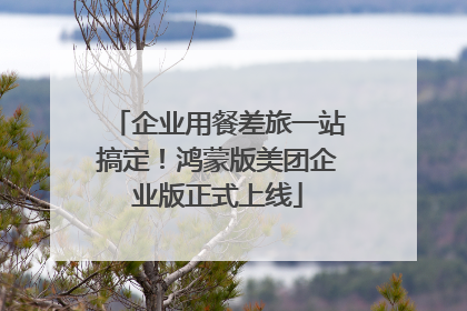 企业用餐差旅一站搞定！鸿蒙版美团企业版正式上线