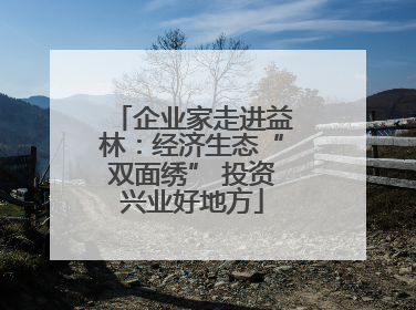 企业家走进益林：经济生态“双面绣” 投资兴业好地方