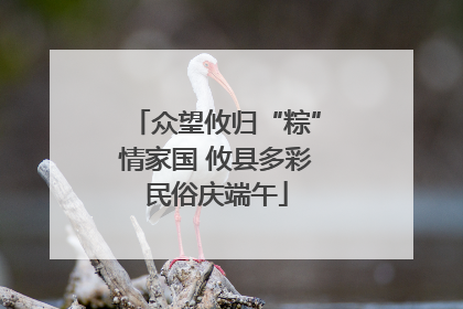 众望攸归“粽”情家国 攸县多彩民俗庆端午