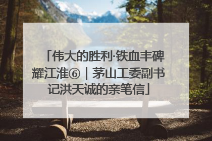伟大的胜利·铁血丰碑耀江淮⑥｜茅山工委副书记洪天诚的亲笔信