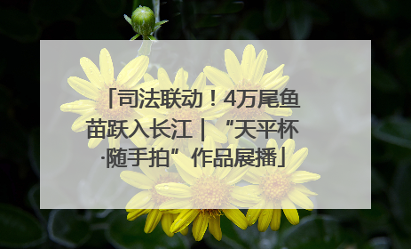 司法联动！4万尾鱼苗跃入长江｜“天平杯·随手拍”作品展播