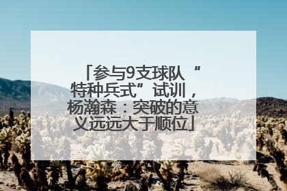 参与9支球队“特种兵式”试训，杨瀚森：突破的意义远远大于顺位