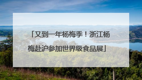 又到一年杨梅季！浙江杨梅赴沪参加世界级食品展