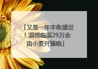 又是一年丰收盛景！淄博临淄29万余亩小麦开镰啦