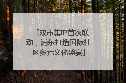双市集IP首次联动，浦东打造国际社区多元文化盛宴