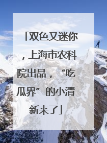 双色又迷你，上海市农科院出品，“吃瓜界”的小清新来了