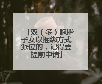 双（多）胞胎子女以捆绑方式派位的，记得要提前申请