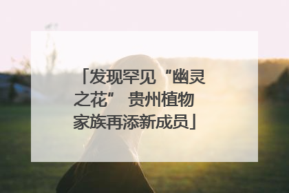 发现罕见“幽灵之花” 贵州植物家族再添新成员