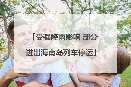 受强降雨影响 部分进出海南岛列车停运