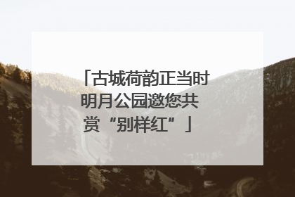 古城荷韵正当时 明月公园邀您共赏“别样红”