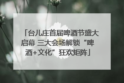 台儿庄首届啤酒节盛大启幕 三大会场解锁“啤酒+文化”狂欢矩阵
