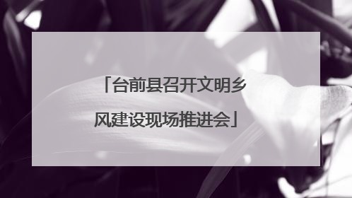 台前县召开文明乡风建设现场推进会