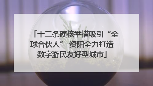 十二条硬核举措吸引“全球合伙人” 资阳全力打造数字游民友好型城市