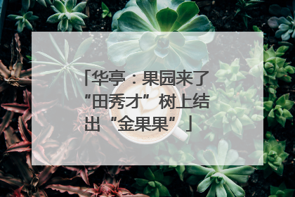 华亭：果园来了“田秀才”树上结出“金果果”
