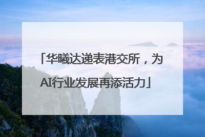 华曦达递表港交所，为AI行业发展再添活力