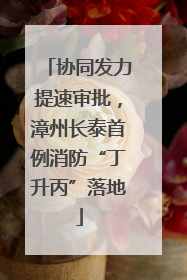 协同发力提速审批，漳州长泰首例消防“丁升丙”落地