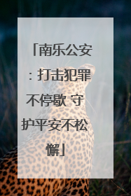 南乐公安：打击犯罪不停歇 守护平安不松懈