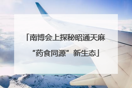 南博会上探秘昭通天麻“药食同源”新生态
