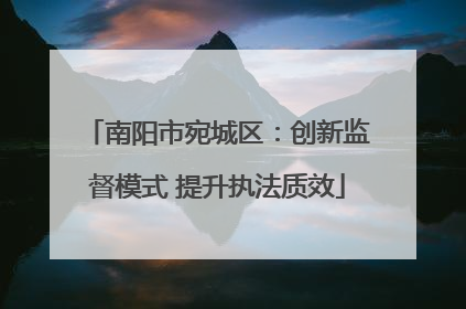 南阳市宛城区：创新监督模式 提升执法质效