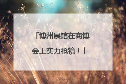 博州展馆在商博会上实力抢镜！