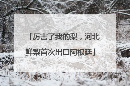 厉害了我的梨，河北鲜梨首次出口阿根廷