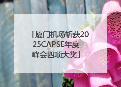 厦门机场斩获2025CAPSE年度峰会四项大奖