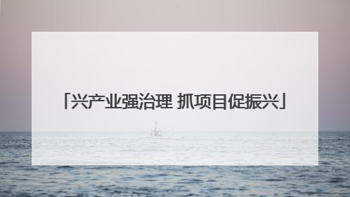 兴产业强治理 抓项目促振兴