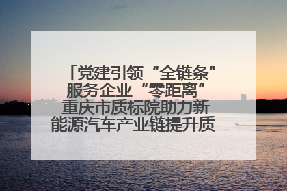 党建引领“全链条” 服务企业“零距离” 重庆市质标院助力新能源汽车产业链提升质量管理水平