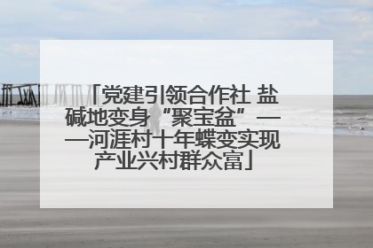 党建引领合作社 盐碱地变身“聚宝盆”——河涯村十年蝶变实现产业兴村群众富