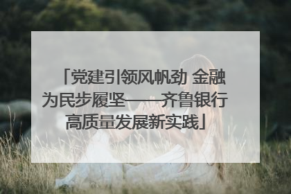 党建引领风帆劲 金融为民步履坚——齐鲁银行高质量发展新实践