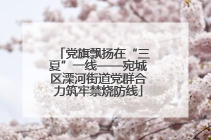 党旗飘扬在“三夏”一线——宛城区溧河街道党群合力筑牢禁烧防线